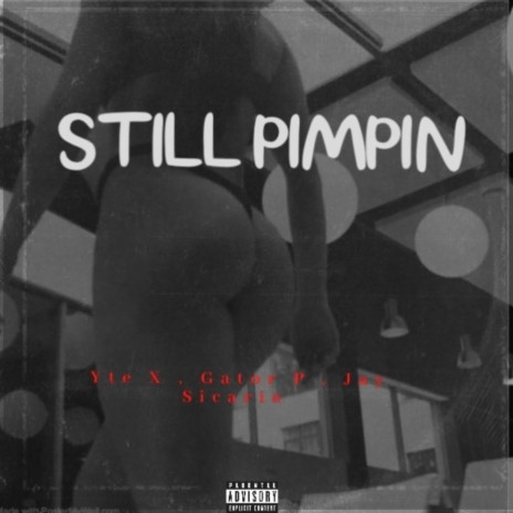 Still Pimpin ft. Gator P & YTE X cover art