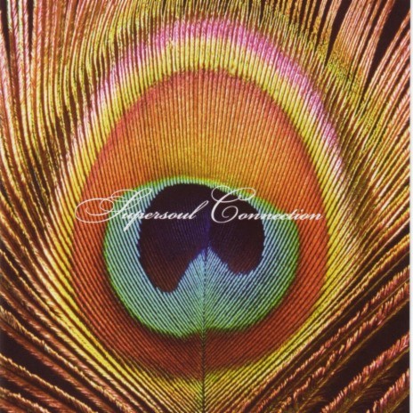 Ne nasilju cover art