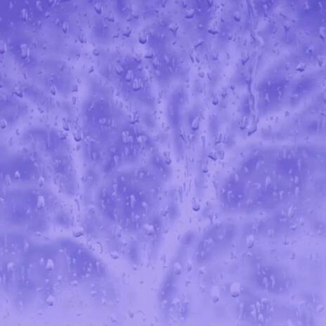Branches cover art