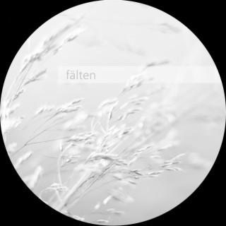 008LiAna cover art