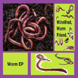 Worm EP