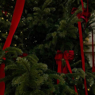Kissed by December
