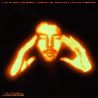 Live In Another World (Jennifer Loveless Endless Arvo Mix) cover art