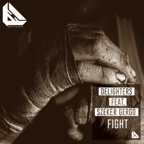 Fight (Richie River V2 Remix) cover art