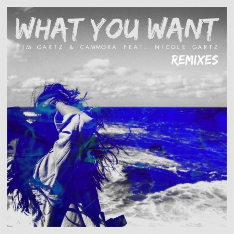 What You Want (feat. Nicole Gartz) [Mulshine Remix] cover art