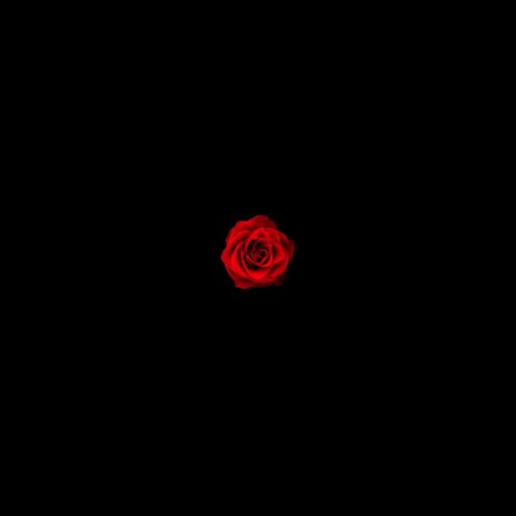 all these lights ft. Baba & TED cover art