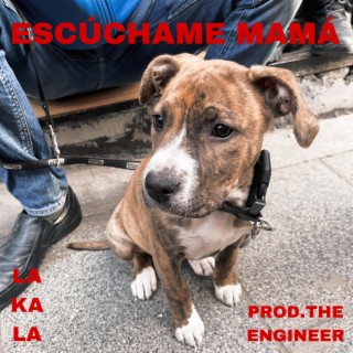 Escúchame mama cover art