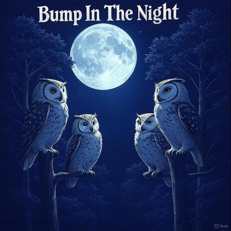 Bump In The Night cover art