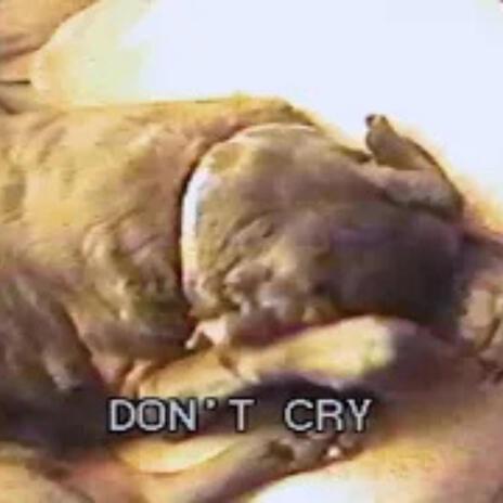 Lenny don't cry cover art