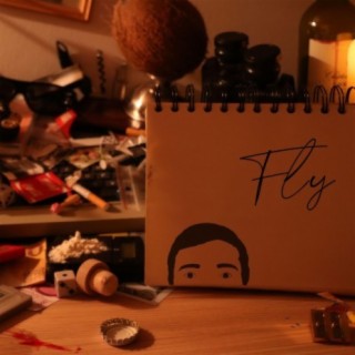 Fly cover art