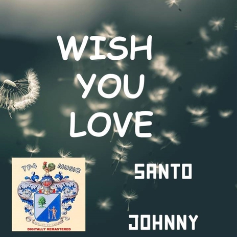 Since I feel for you ft. Johnny cover art