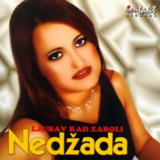 Nedzada