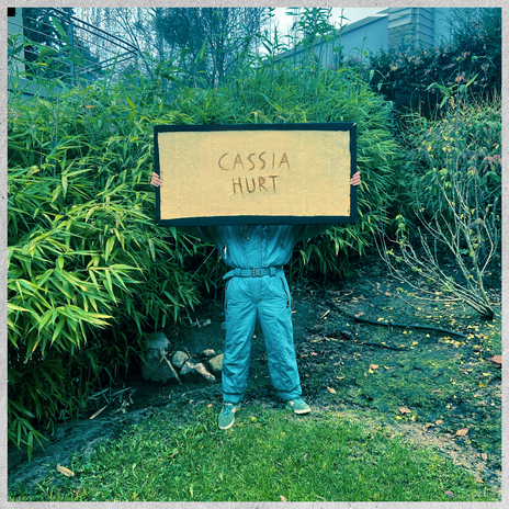 Hurt cover art