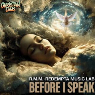 Before I Speak (D&B Album)
