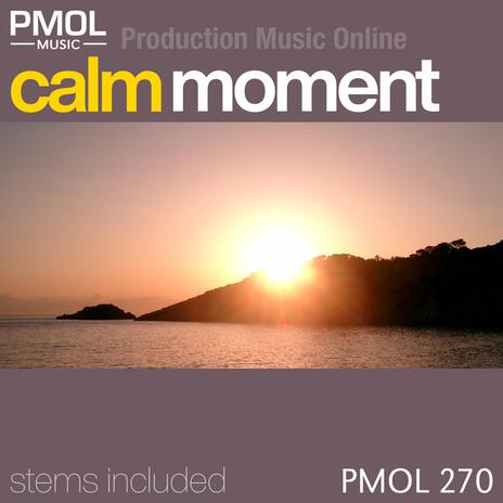 Calm Enigma cover art