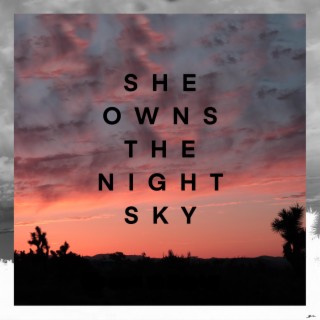 She Owns The Night Sky ft. NicoTheOwl & Avi Snow cover art