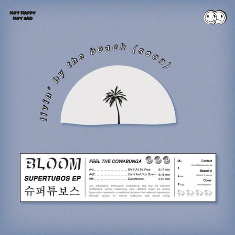 Can't Hold Us Down cover art