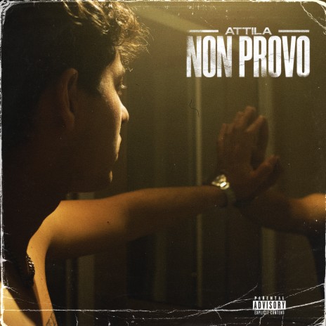 Non Provo cover art