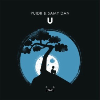 Puidii