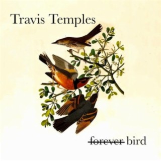 Forever Bird