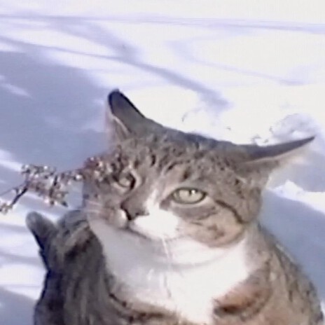 when you find yourself in a memory cover art