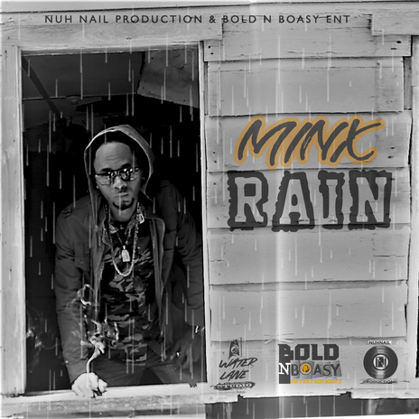 The Rain cover art