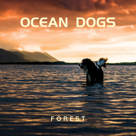 Chet's Beach Buddies (Ocean Vibes Version) cover art