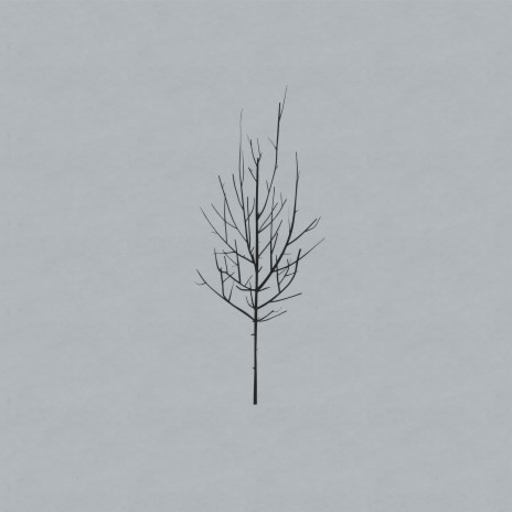 No Comprende cover art