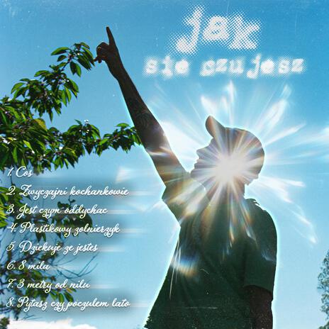 Zwyczajni kochankowie cover art