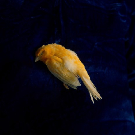 Left Behind cover art