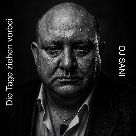 Die Tage Ziehen Vorbei cover art