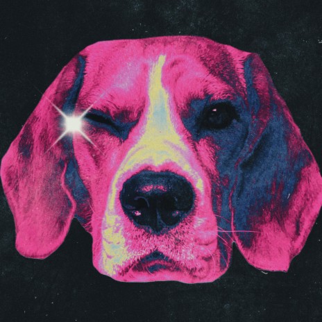 De Rumba cover art