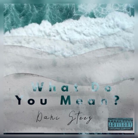 What Do You Mean ? cover art