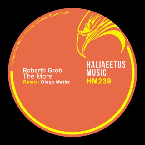 The More (Original Mix) cover art
