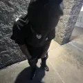 ShordyDaYoungan