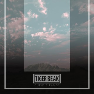 Tiger Beak