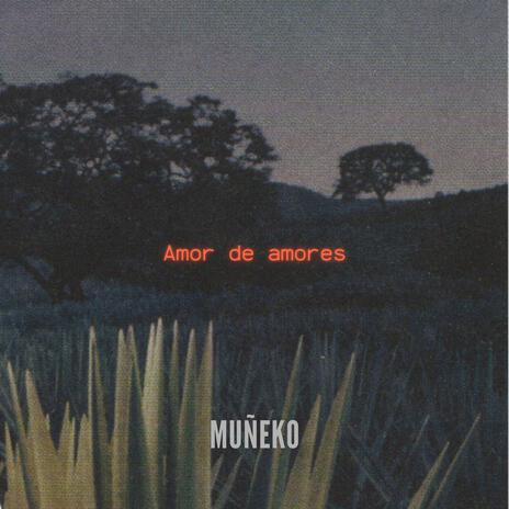Amor de amores cover art