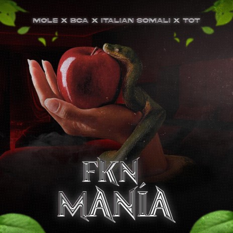 Fkn Mania ft. Bca, Italian Somali & T.O.T cover art