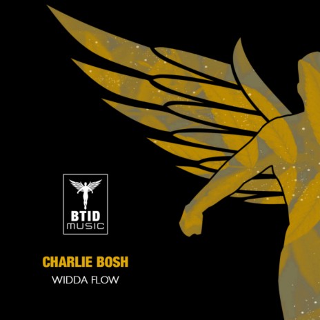 Widda Flow (Original Mix)