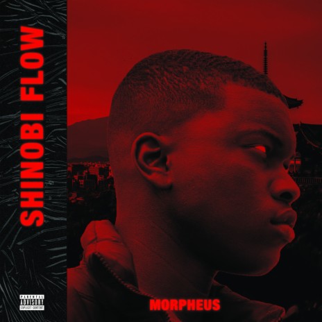 Shinobi Flow cover art