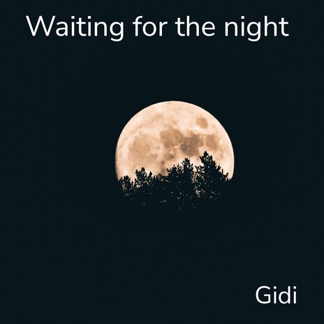 Waiting for the Night cover art