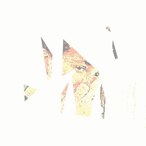 elephant cover art