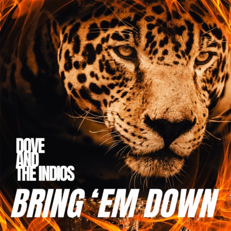 Bring 'em Down ft. The InDios cover art