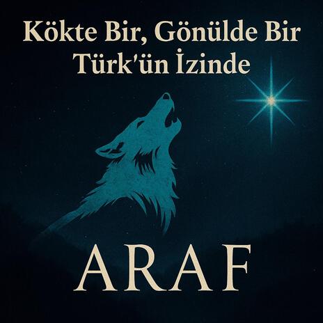 Kökte Bir, Gönülde Bir Türk’ün İzinde cover art