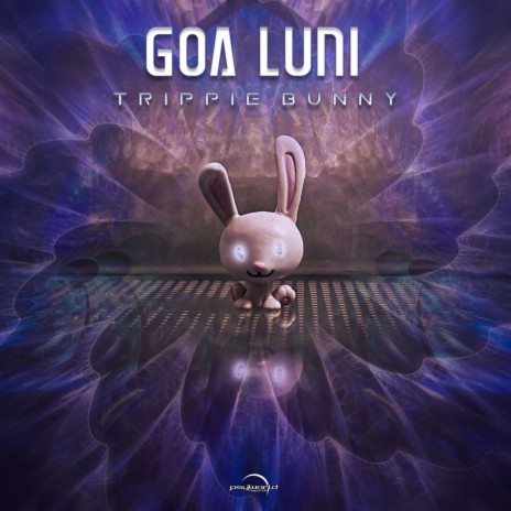 Eternal Gravity cover art