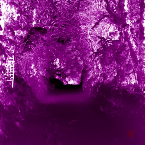 Werewolf (Slowed + Reverb) cover art
