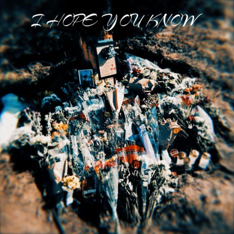I Hope You Know cover art