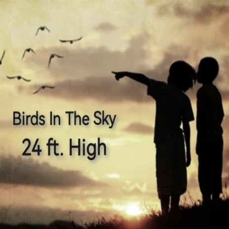 Birds In The Sky cover art