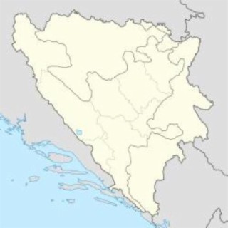 Bacci