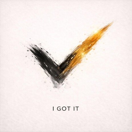 I GOT IT cover art